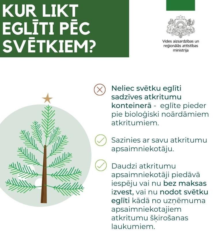 Kur likt eglīti pēc svētkiem? Infografika