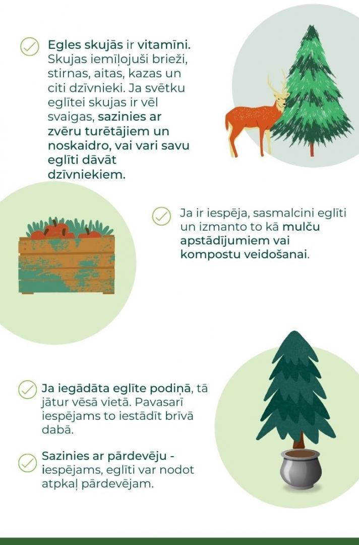 Kur likt eglīti? Infografika