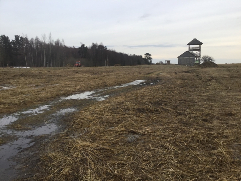 Ganību platības sagatavošana Randu pļavās 