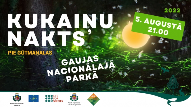 Kukaiņu nakts