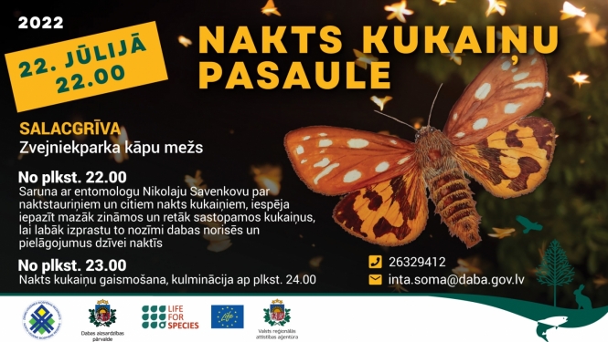 Kukaiņu nakts