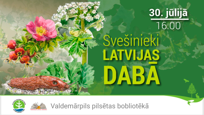 Ilustratīvs attēls