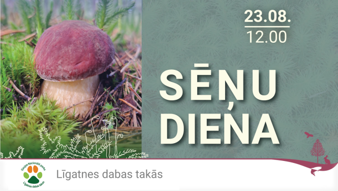 Ilustratīvs attēls
