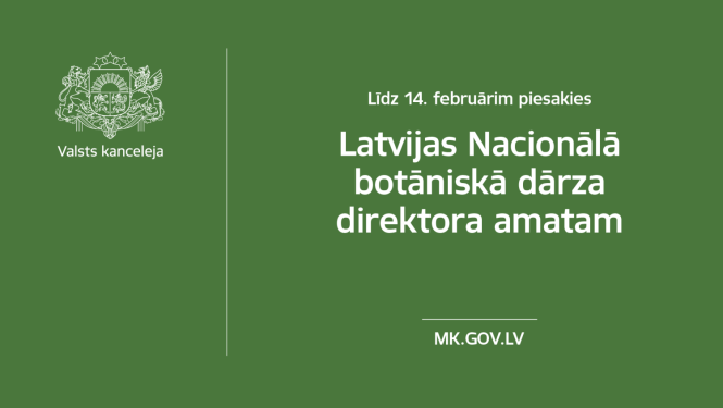 Publicitātes foto
