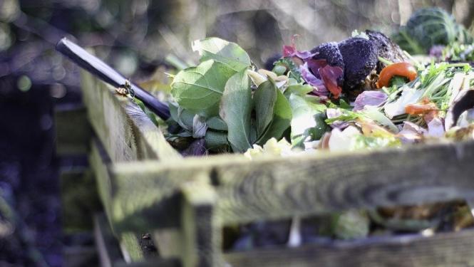bioloģiski noārdāmie atkritumi