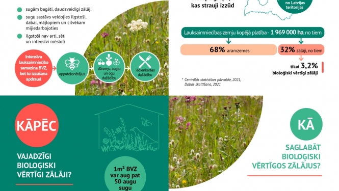 infografika