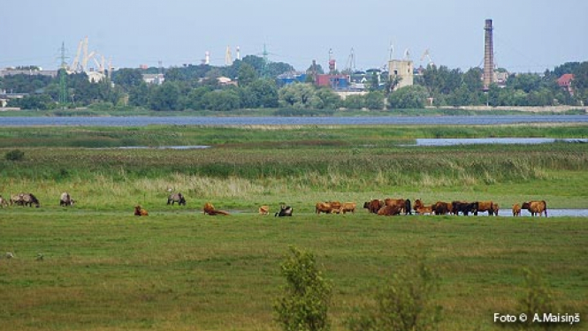 Liepājas ezers