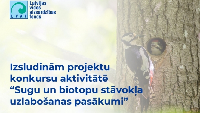 Projektu konkurss