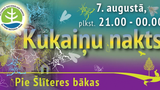 Informatīvs plakāts: Kukaiņu nakts