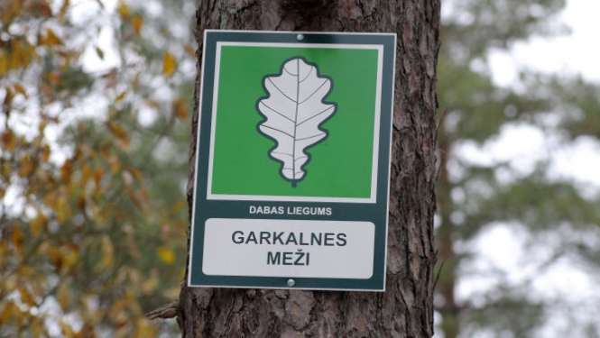 Norāde