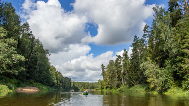 Gauja