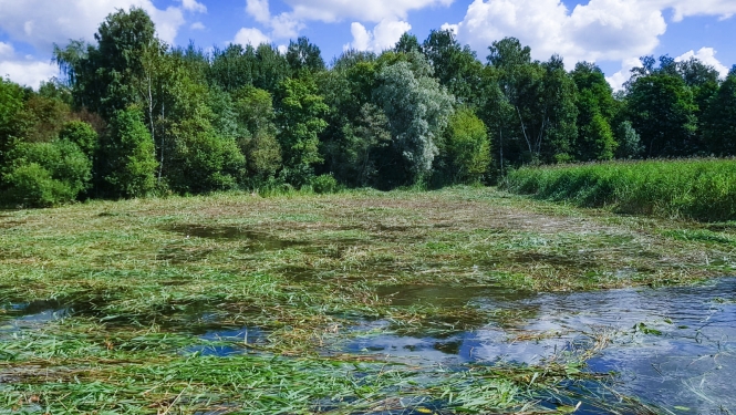 Rāznas ezers