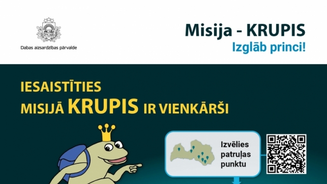 Krupis