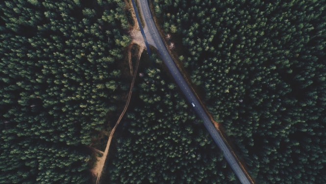 Ceļš, Latvijas daba