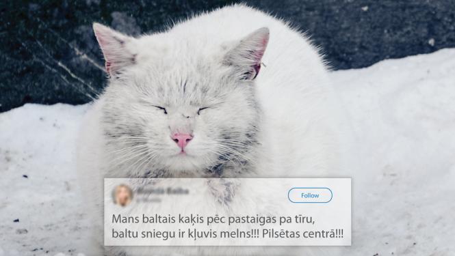 Gaisa kampaņas vizuālis