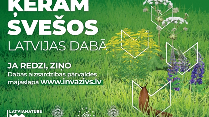 Invazīvās sugas