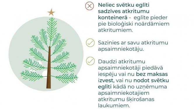 Kur likt eglīti? Infografika