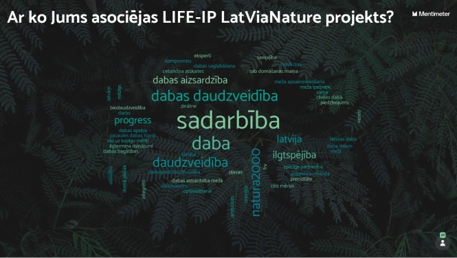 Vārdu mākonis, kas izveidojās no partneru atbildēm uz jautājumu.