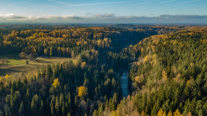 Skats uz Gauju no putna lidojuma