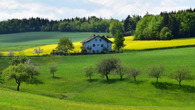 māja