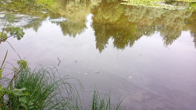 Ūdens piesārņojums