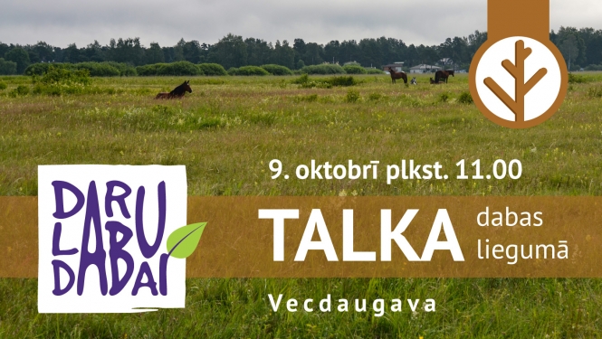 Talka