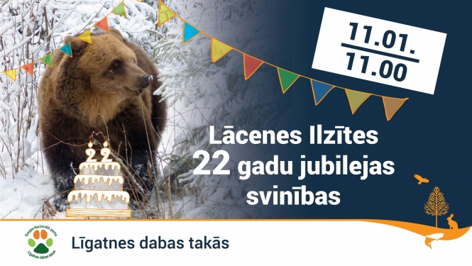 Līgatnes dabas takas