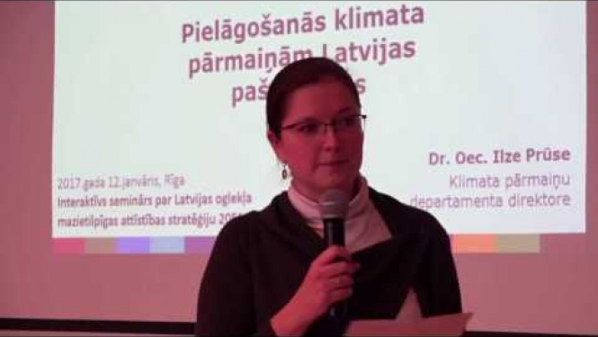 Divpusējās sadarbības fonda pasākumu īstenošana