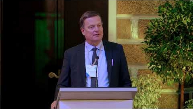 OPENING OF THE CONFERENCE