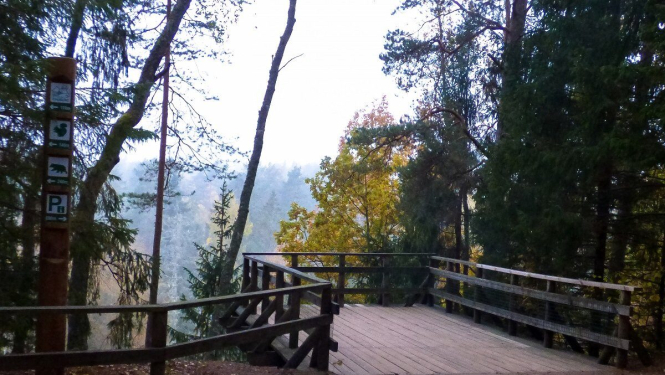 Līgatnes dabas taka