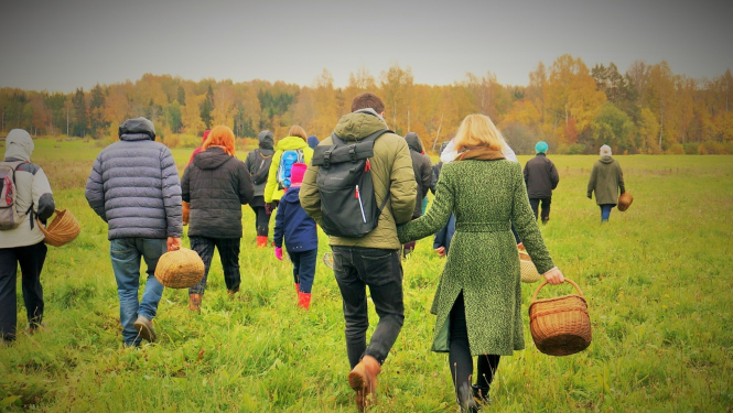 Cilvēki pļavā ar groziem