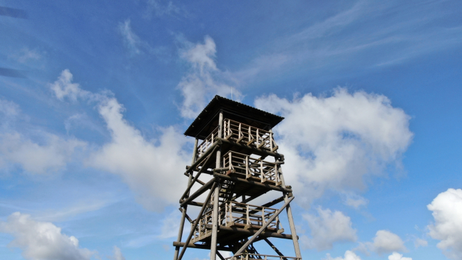 Liepukalna skatu tornis