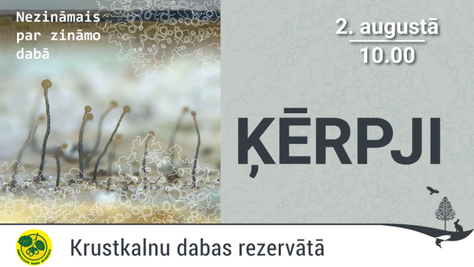 Ilustratīvs attēls