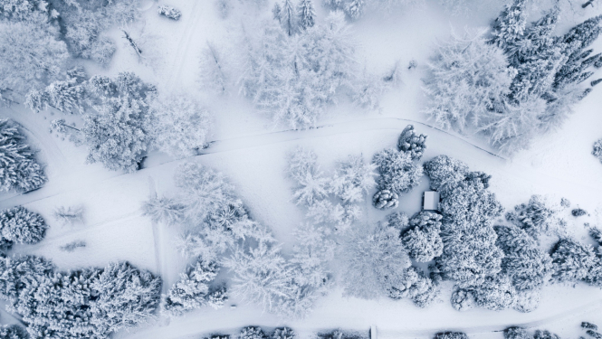 Latvijas Nacionālais botāniskais dārzs