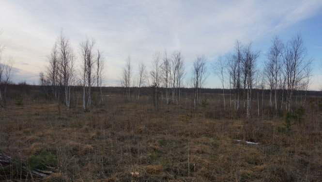 Dabas liegums Tosmare