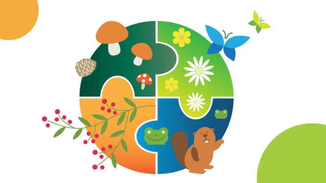 Ilustratīvs attēls