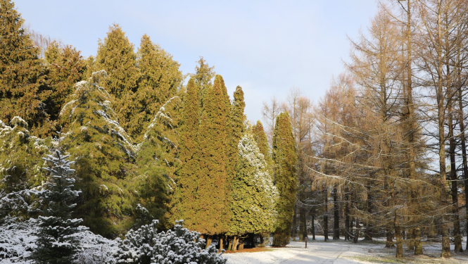 Latvijas Nacionālais botāniskais dārzs