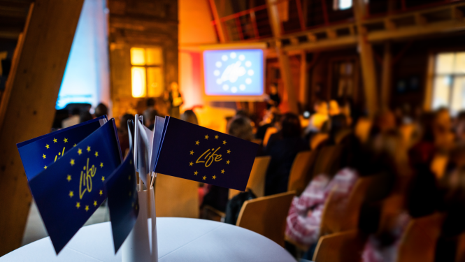 Ilustratīvs attēls