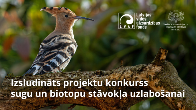 VARAM aicina iesniegt projektus sugu un biotopu stāvokļa uzlabošanai 