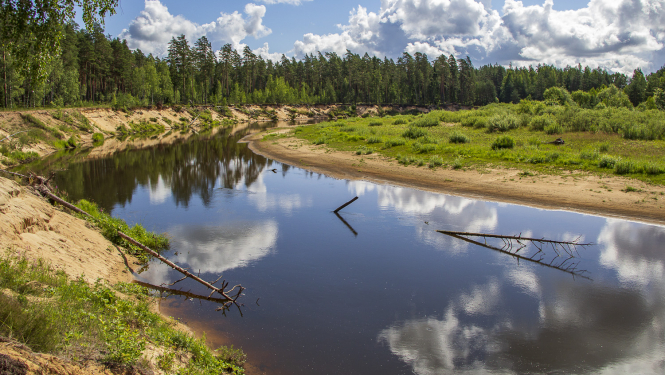 Aizsargājamo ainavu apvidus ZIEMEĻGAUJA. Gauja pie Bekām