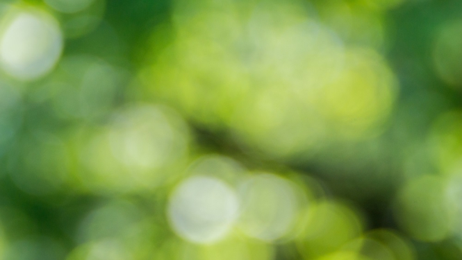 Ilustratīvs attēls