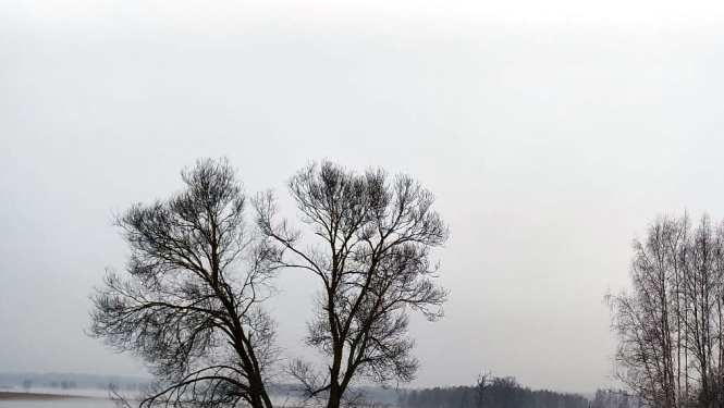 aplūdusi teritorija ar ūdeni