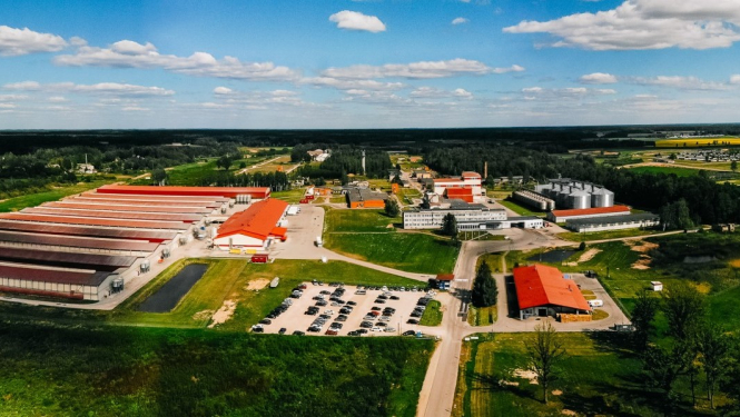 Uzņēmums Balticovo