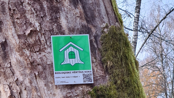 Atpazīstamības zīme