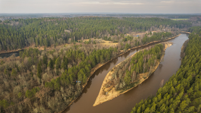 Attēls ar Gauju Cēsu apkārtnē