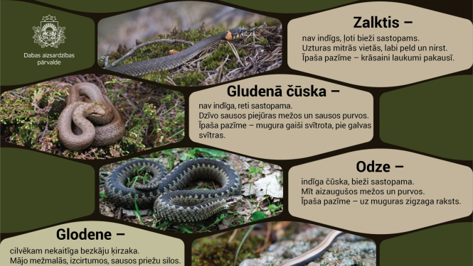 Ilustratīvs attēls