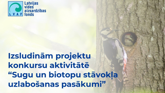Projektu konkurss