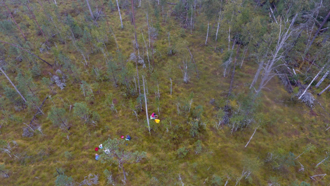 Teiču dabas rezervāts