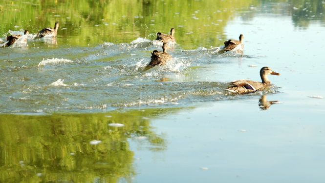 ilustratīvs attēls