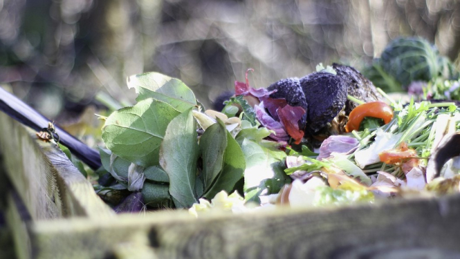 Bioloģiskie atkritumi